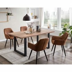 4er Essgruppe Mit Tischsesseln - Castor (fünfteilig)